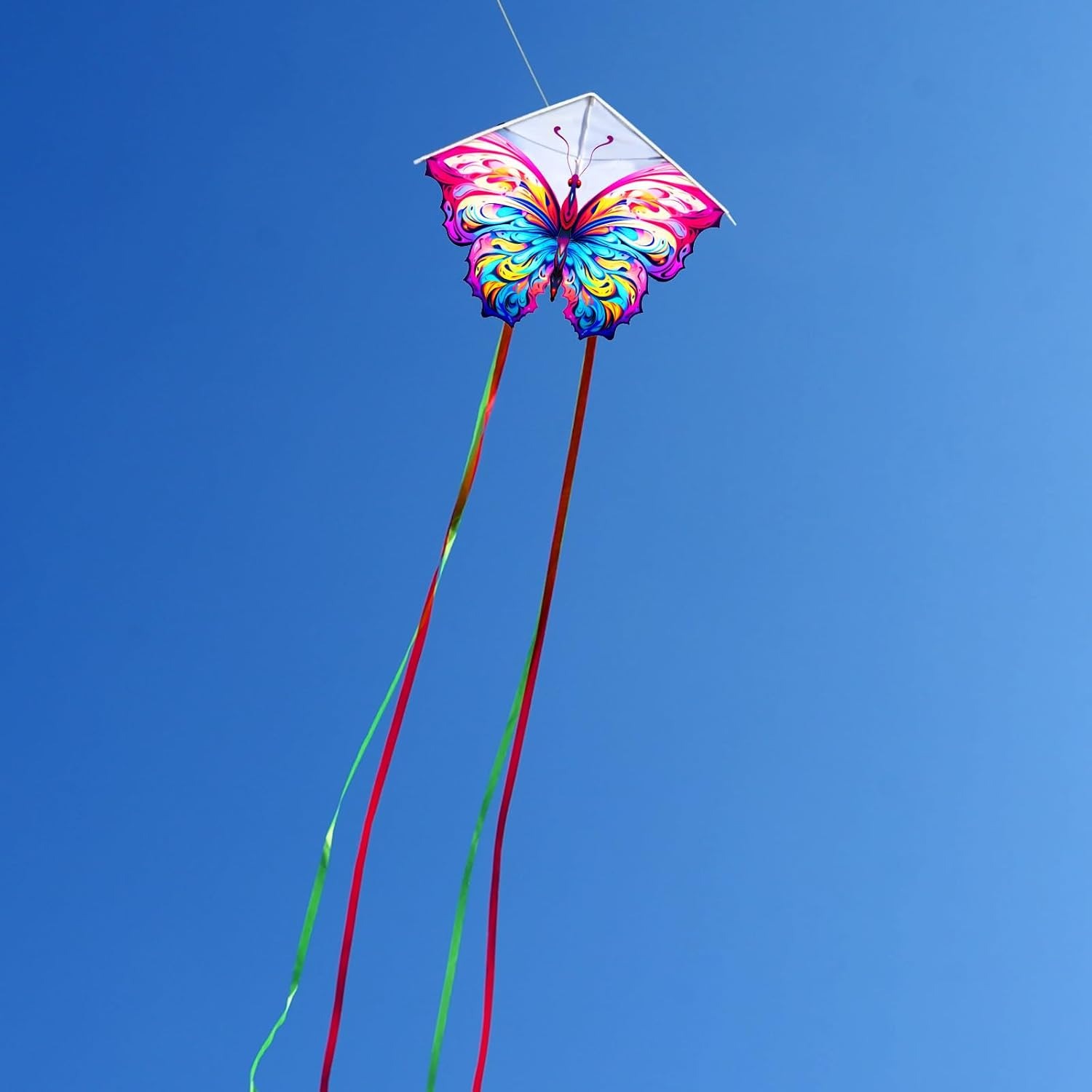 Butterfly Kite 2 Pack with Long Tails and 30m Lines