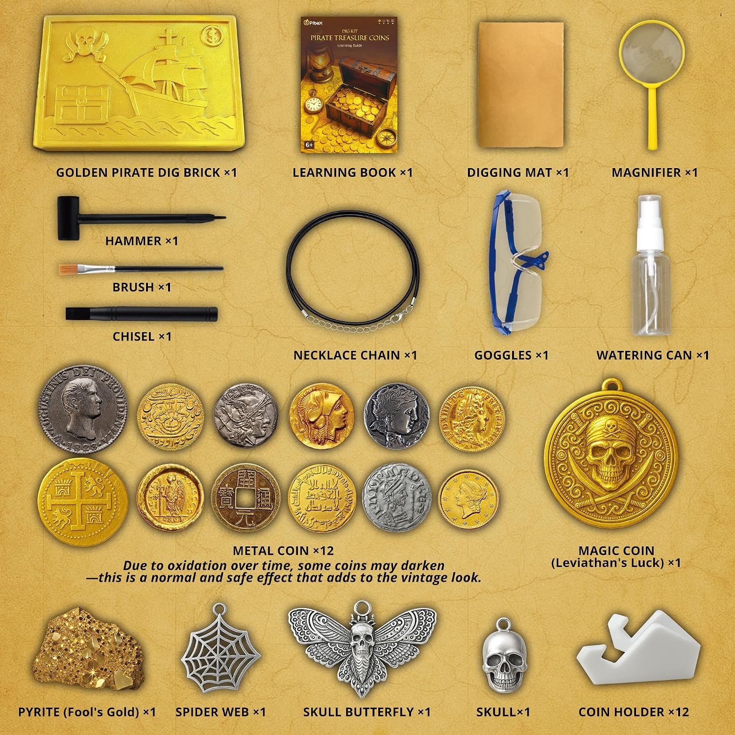 Pirate Treasure Coins Dig Kit: image 8
